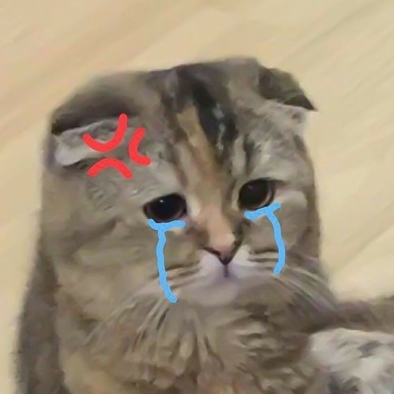 meme buồn trong những ngày thất tình