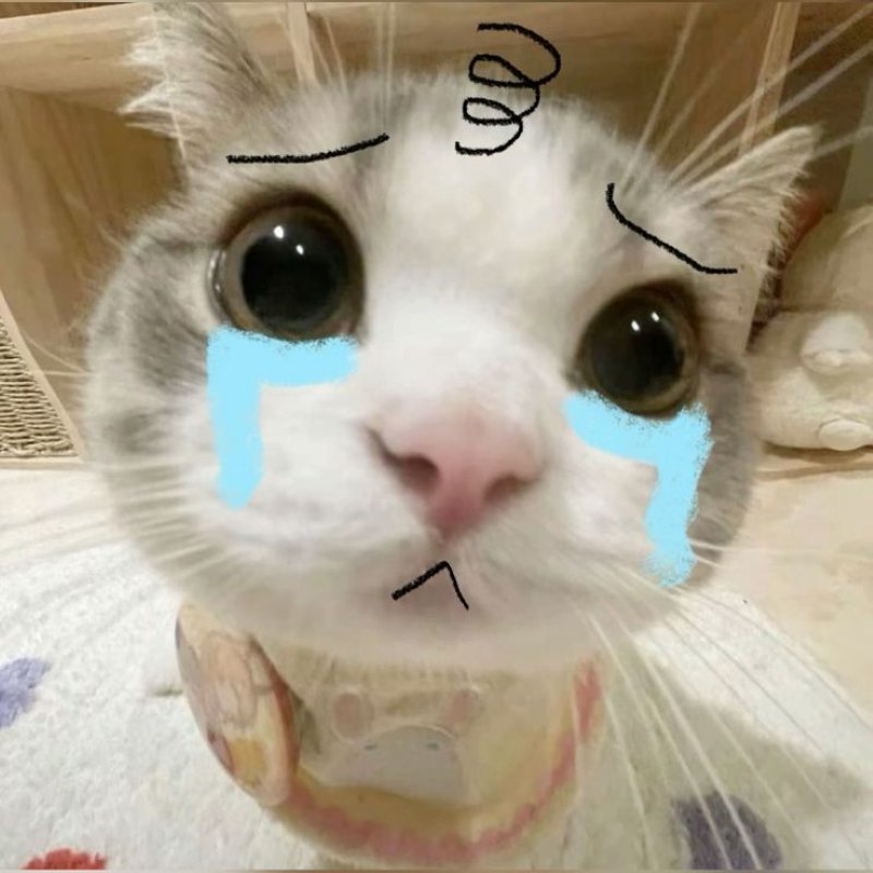 meme buồn về chuyện tình dang dở
