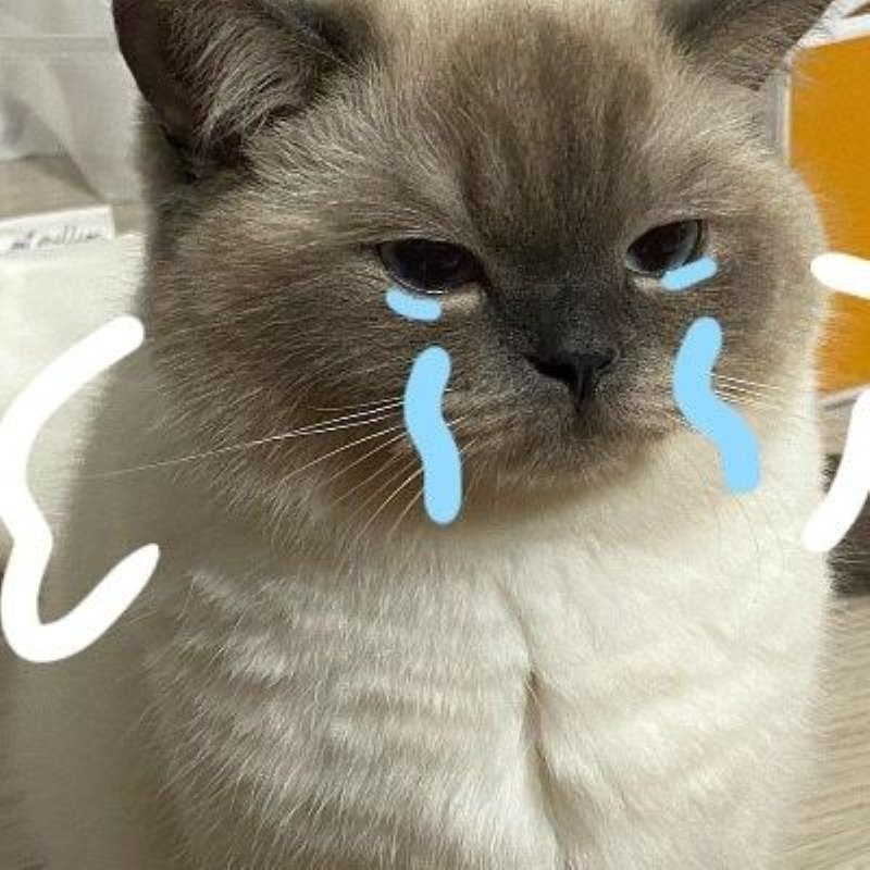 meme buồn về những ngày cô độc