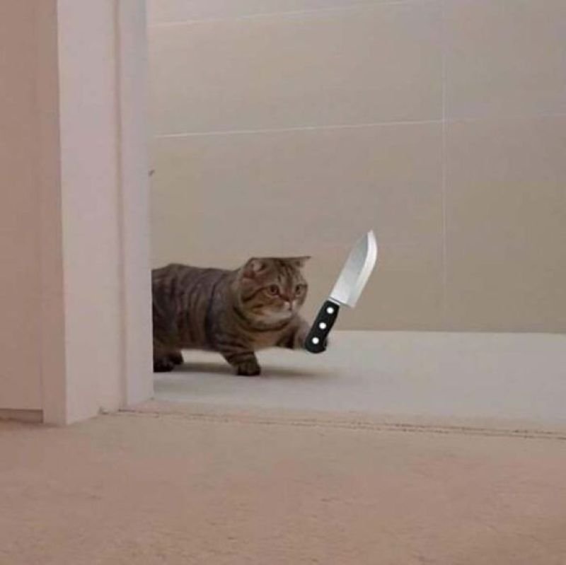 meme cầm dao biểu cảm đầy bất lực