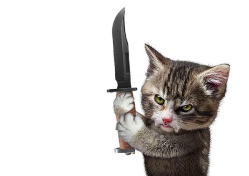 meme cầm dao biểu cảm không thể đỡ