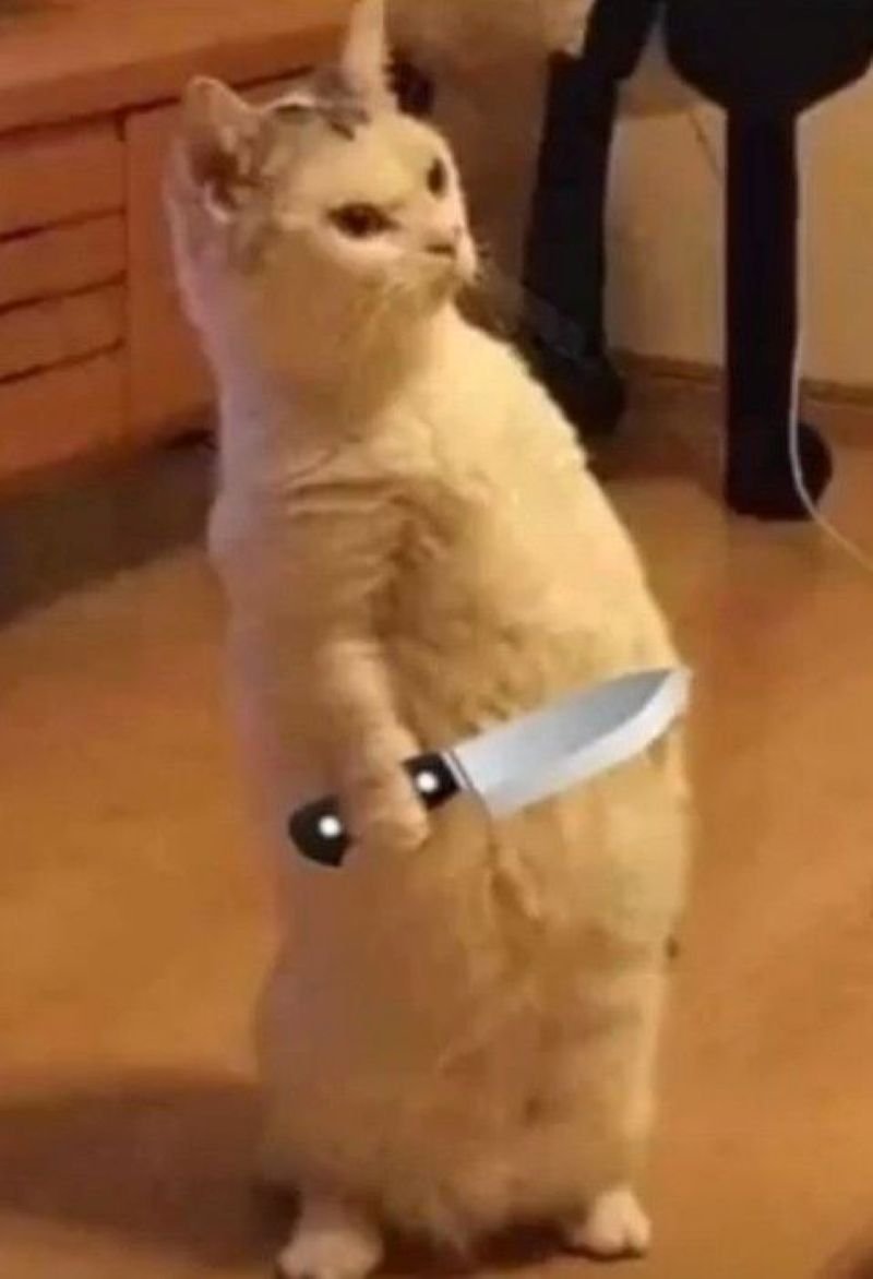 meme cầm dao khiến người xem bật cười