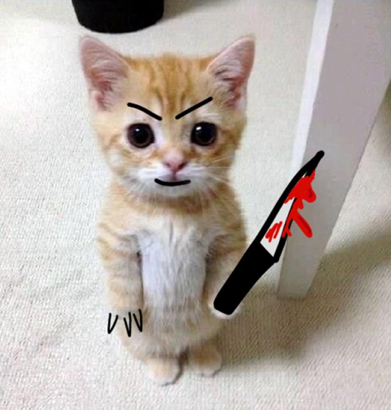 meme cầm dao nhìn là muốn cười