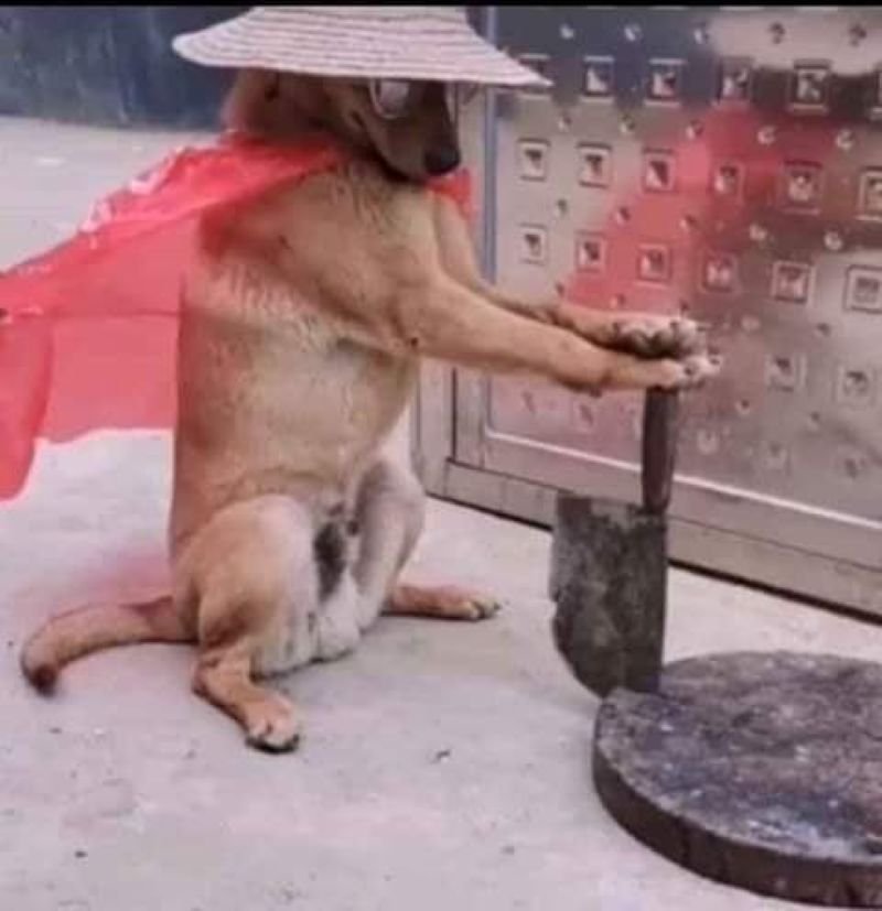 meme cầm dao với vẻ mặt bất cần