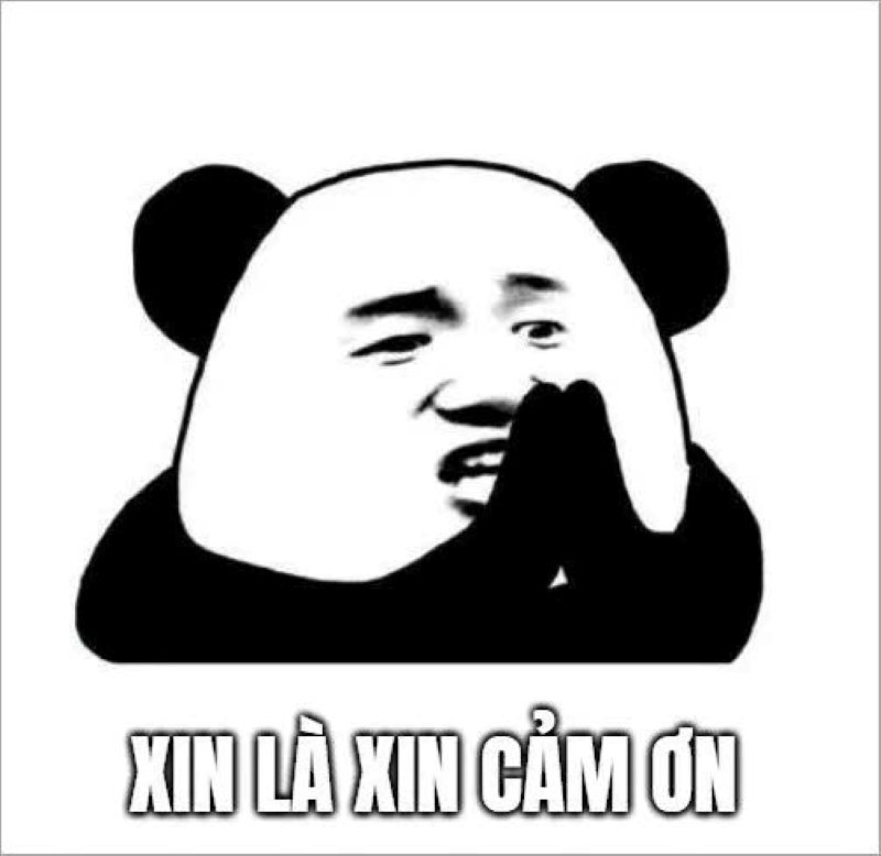 meme cảm ơn bá đạo đầy biểu cảm