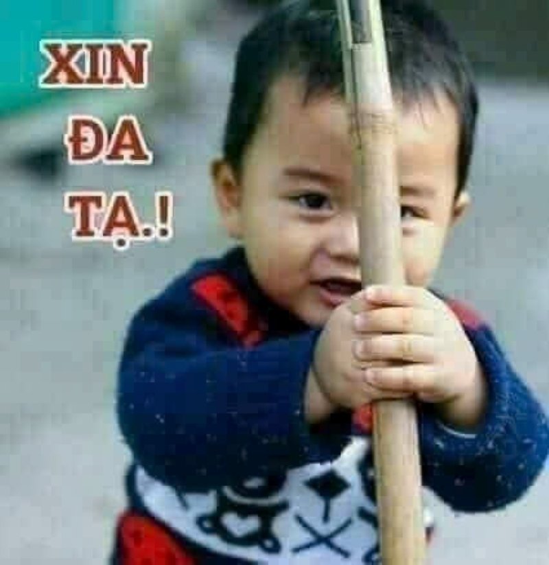 meme cảm ơn biểu cảm hài hước khó đỡ
