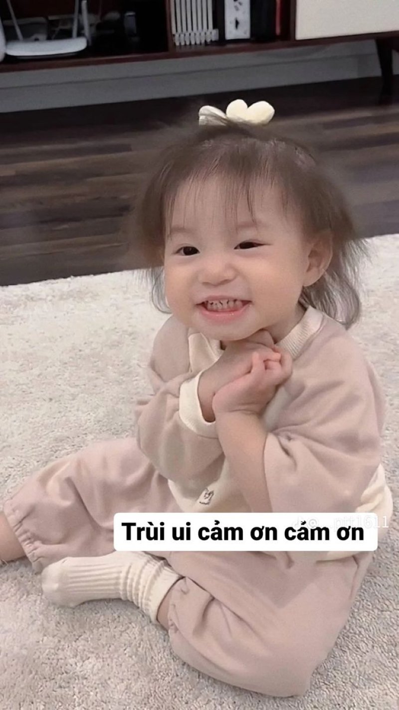 meme cảm ơn cực chất cho mọi hoàn cảnh