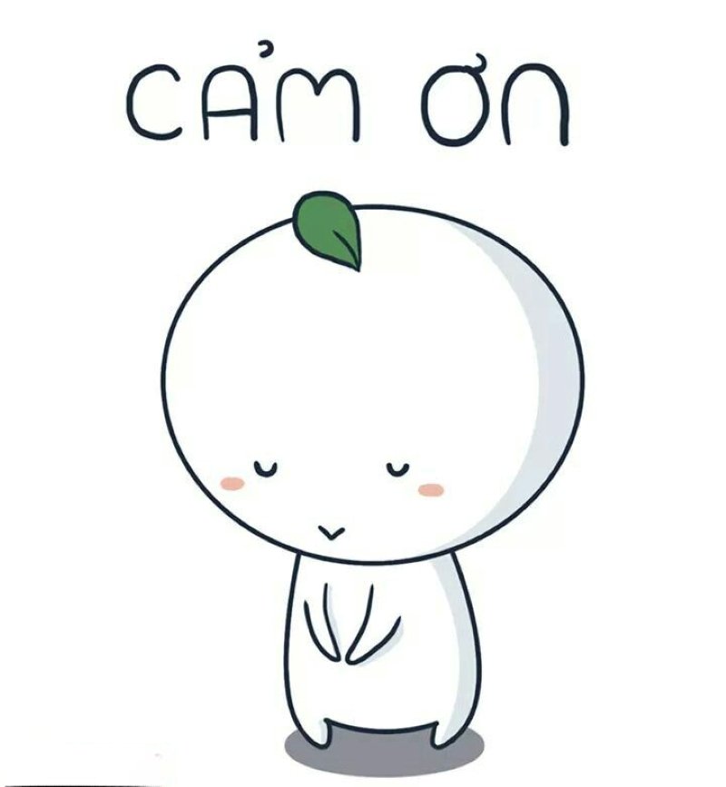 meme cảm ơn cute phù hợp mọi cuộc trò chuyện