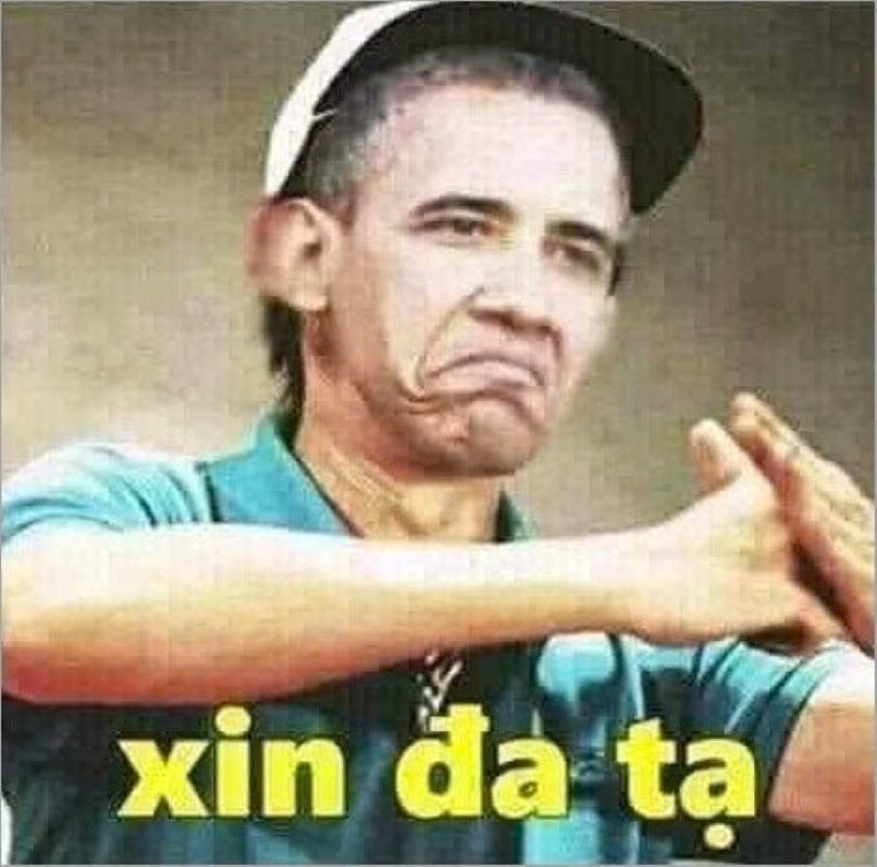 meme cảm ơn đáng yêu dùng mọi tình huống