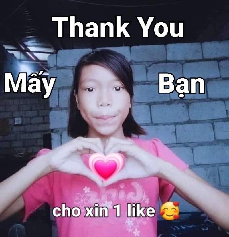 meme cảm ơn đáng yêu khiến tim tan chảy