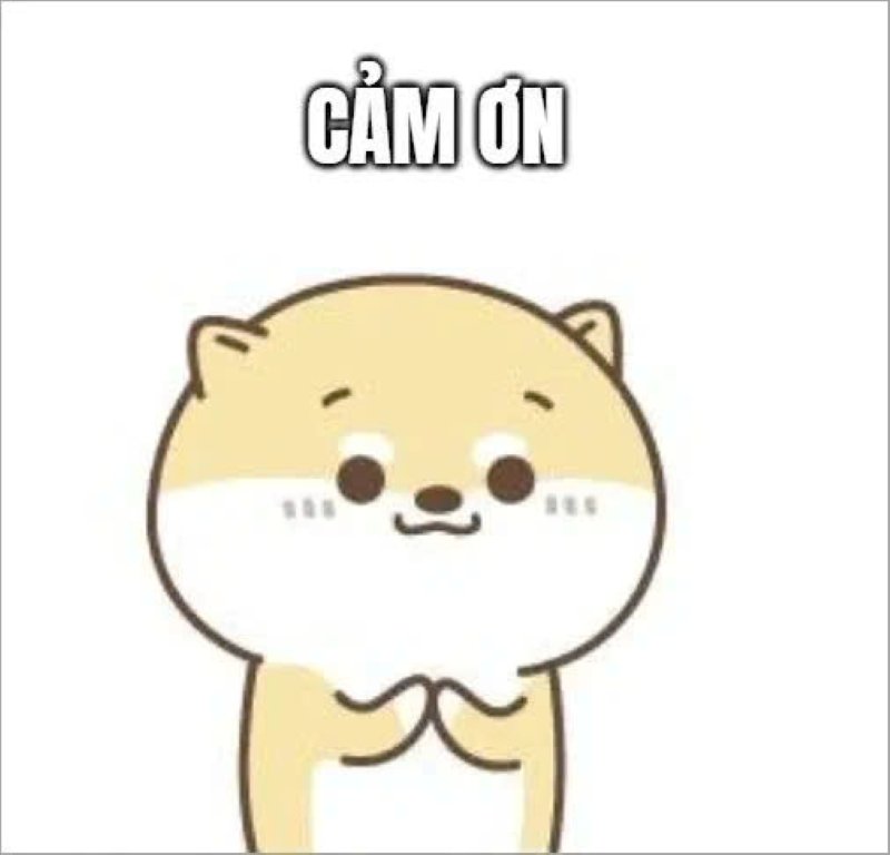 meme cảm ơn dễ thương được nhiều người thích