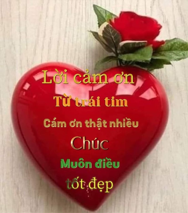 meme cảm ơn độc lạ gây chú ý