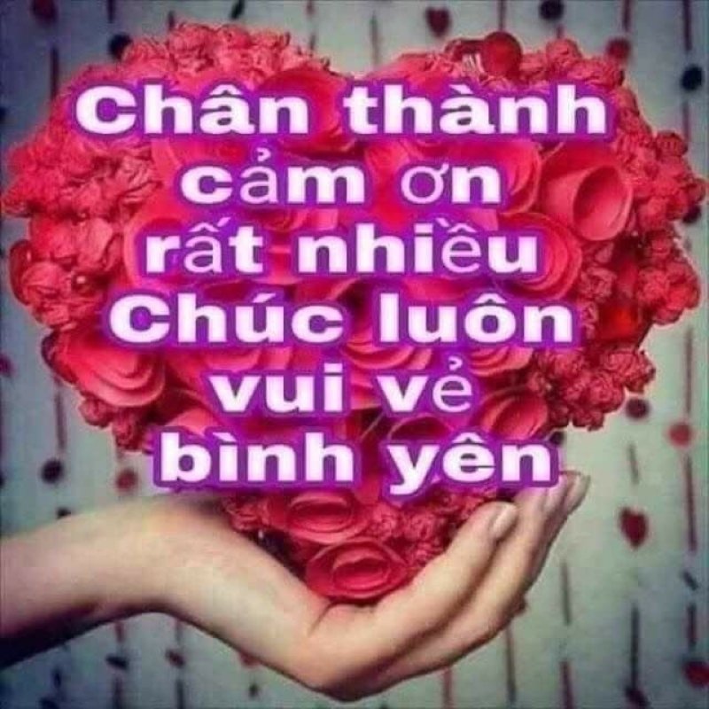 meme cảm ơn hài hước cực kỳ viral