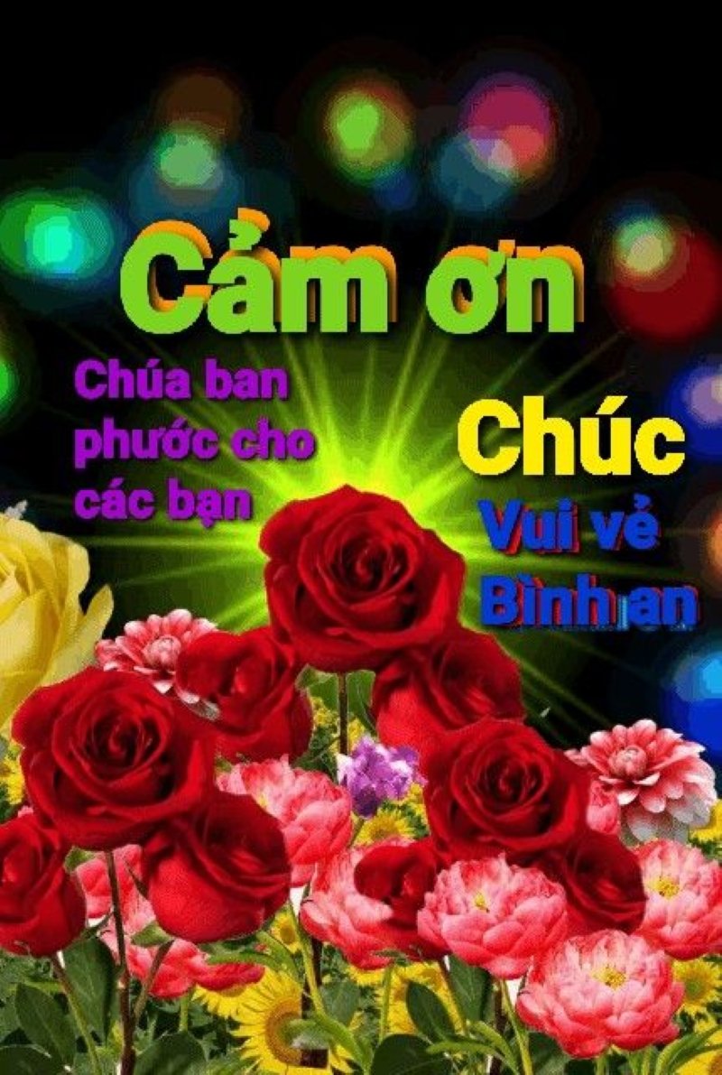 meme cảm ơn hài hước dùng cực tiện