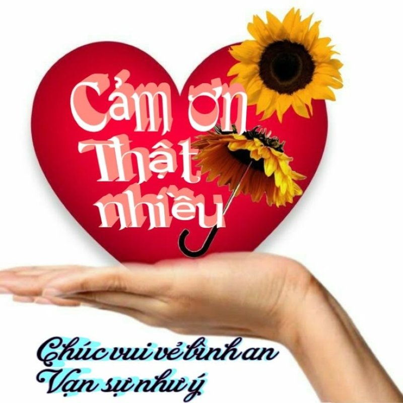meme cảm ơn hài hước được chia sẻ nhiều