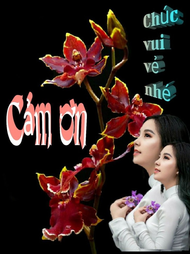 meme cảm ơn vui nhộn cho người hài hước