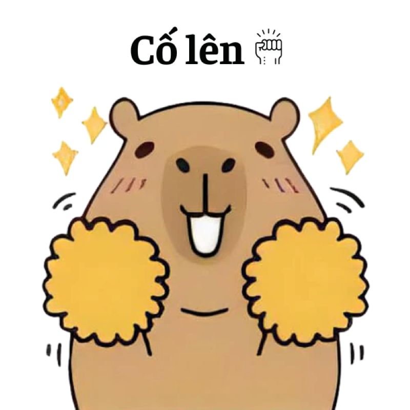 meme capybara biểu cảm cực kỳ hài