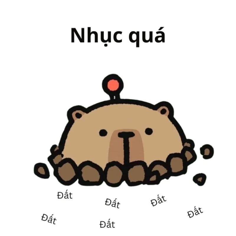 meme capybara chill khiến lòng bình yên