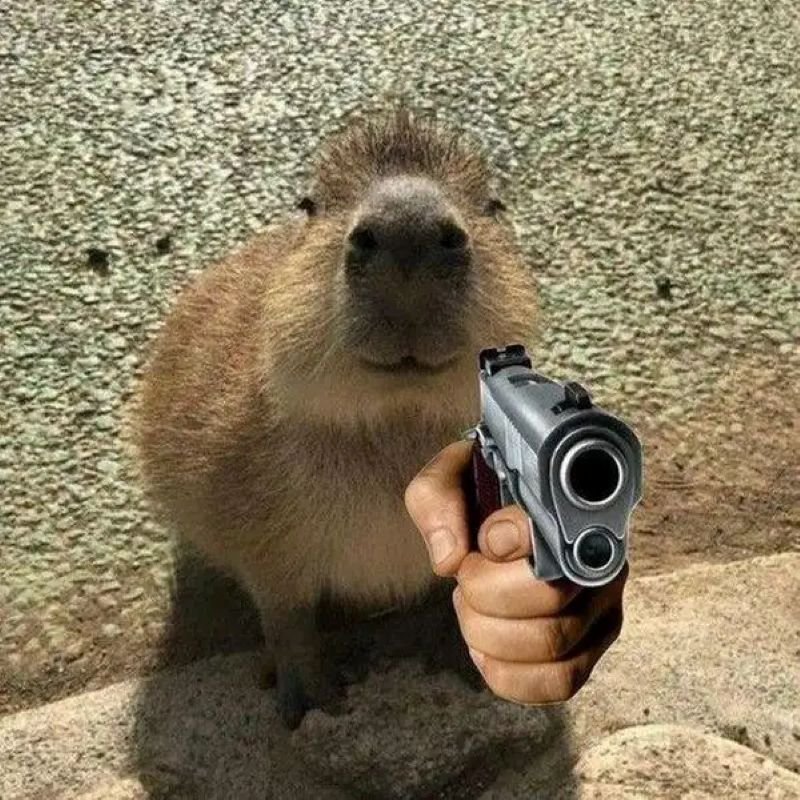 meme capybara cute gây sốt cộng đồng