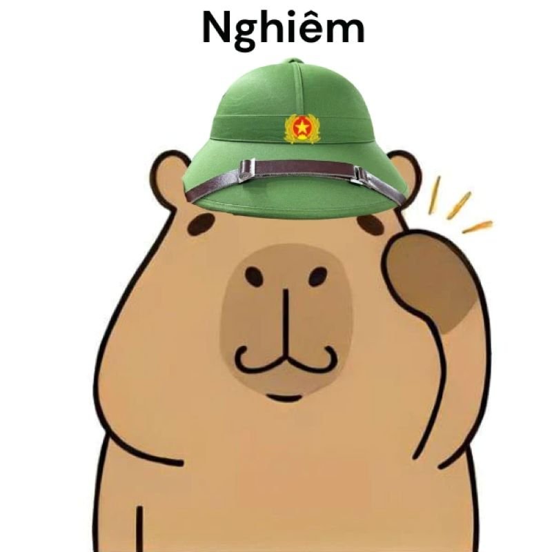 meme capybara cute làm tan chảy tim