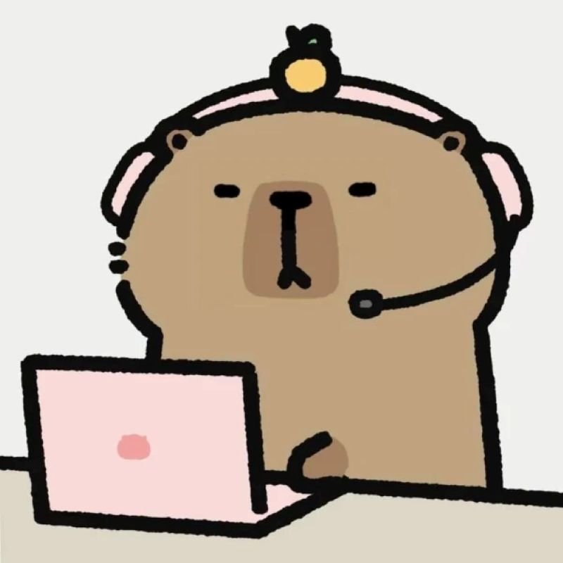 meme capybara đáng yêu giữa cuộc sống