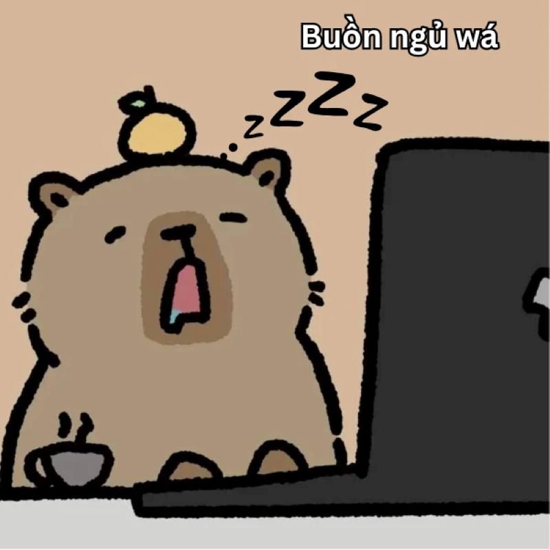 meme capybara khoảnh khắc chill đáng nhớ