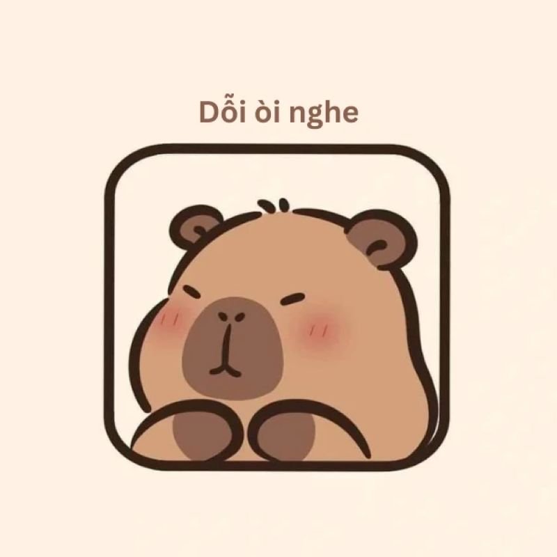 meme capybara siêu đáng yêu và lầy