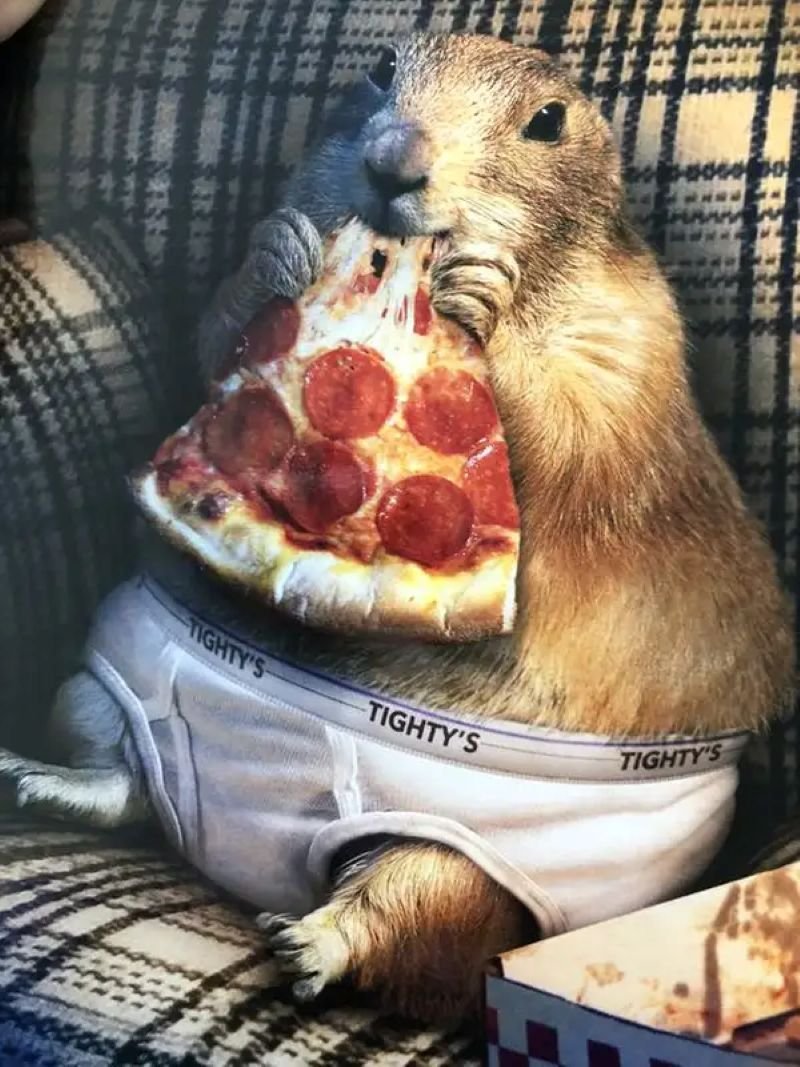 meme capybara thư giãn giữa thiên nhiên