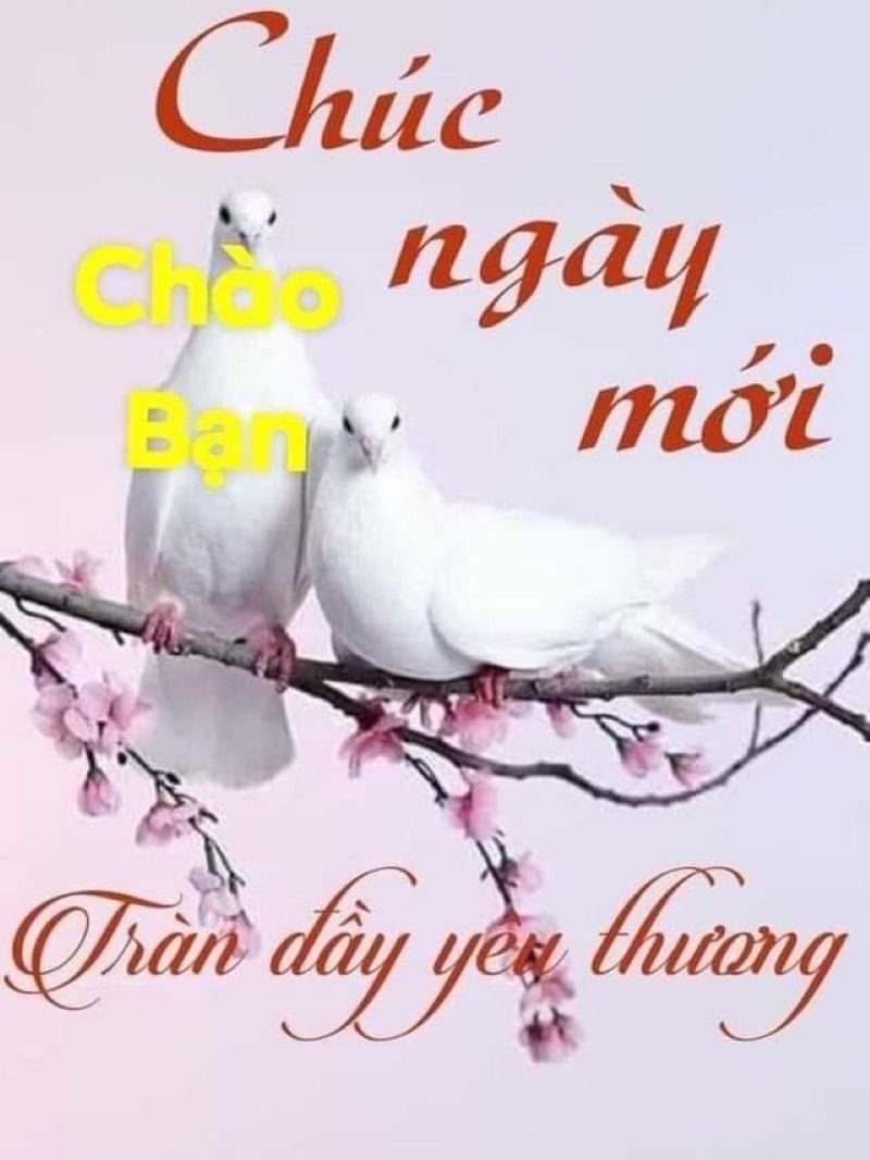 meme chào buổi sáng bá đạo cực hài