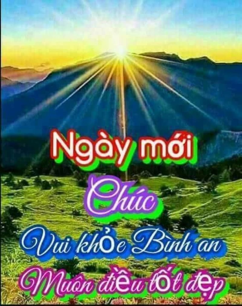meme chào buổi sáng đáng yêu và hài hước