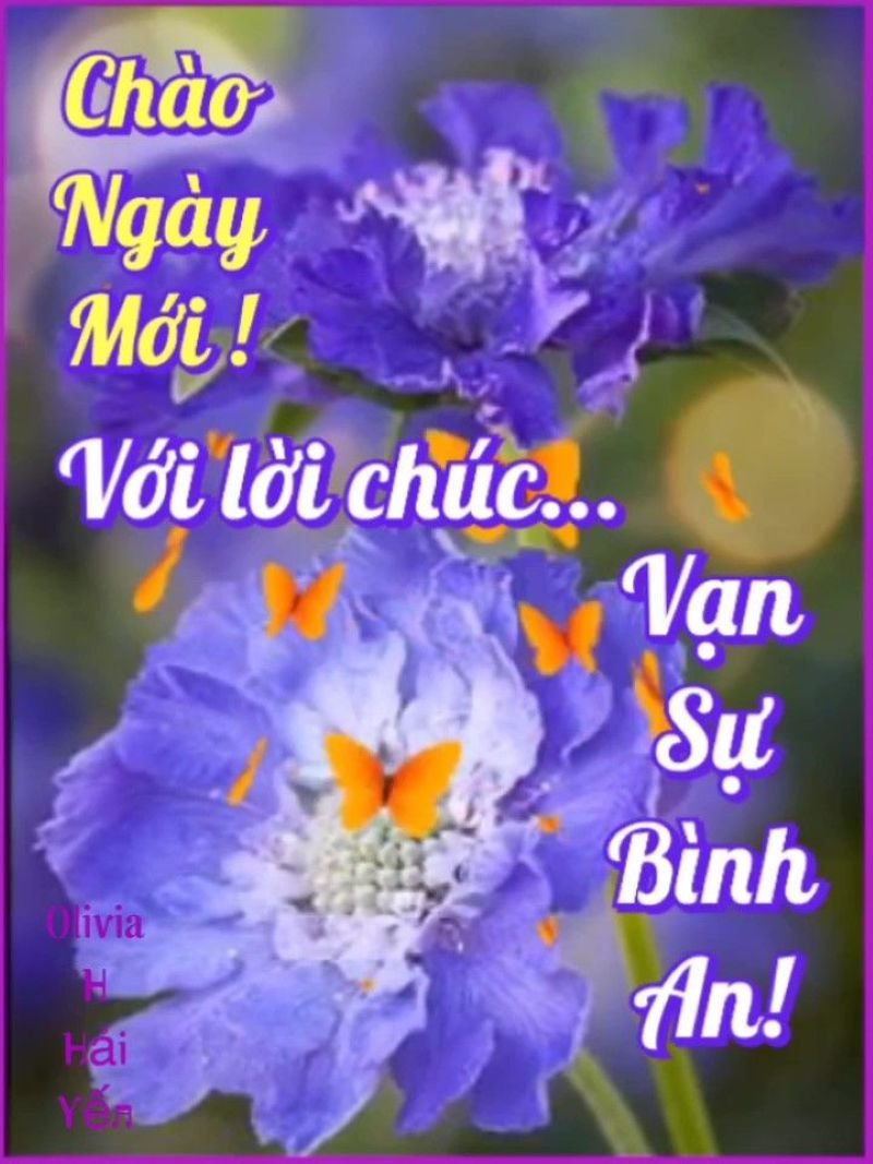 meme chào buổi sáng dành cho hội bạn