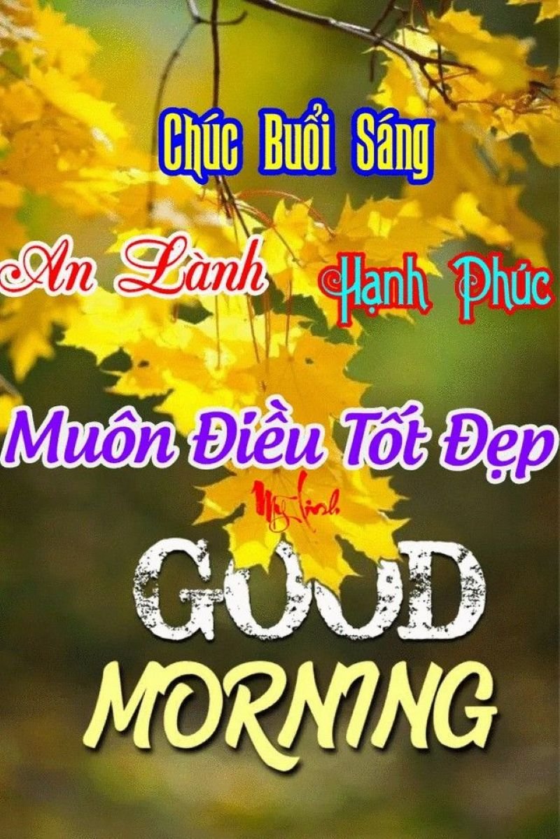 meme chào buổi sáng độc đáo cực kỳ vui