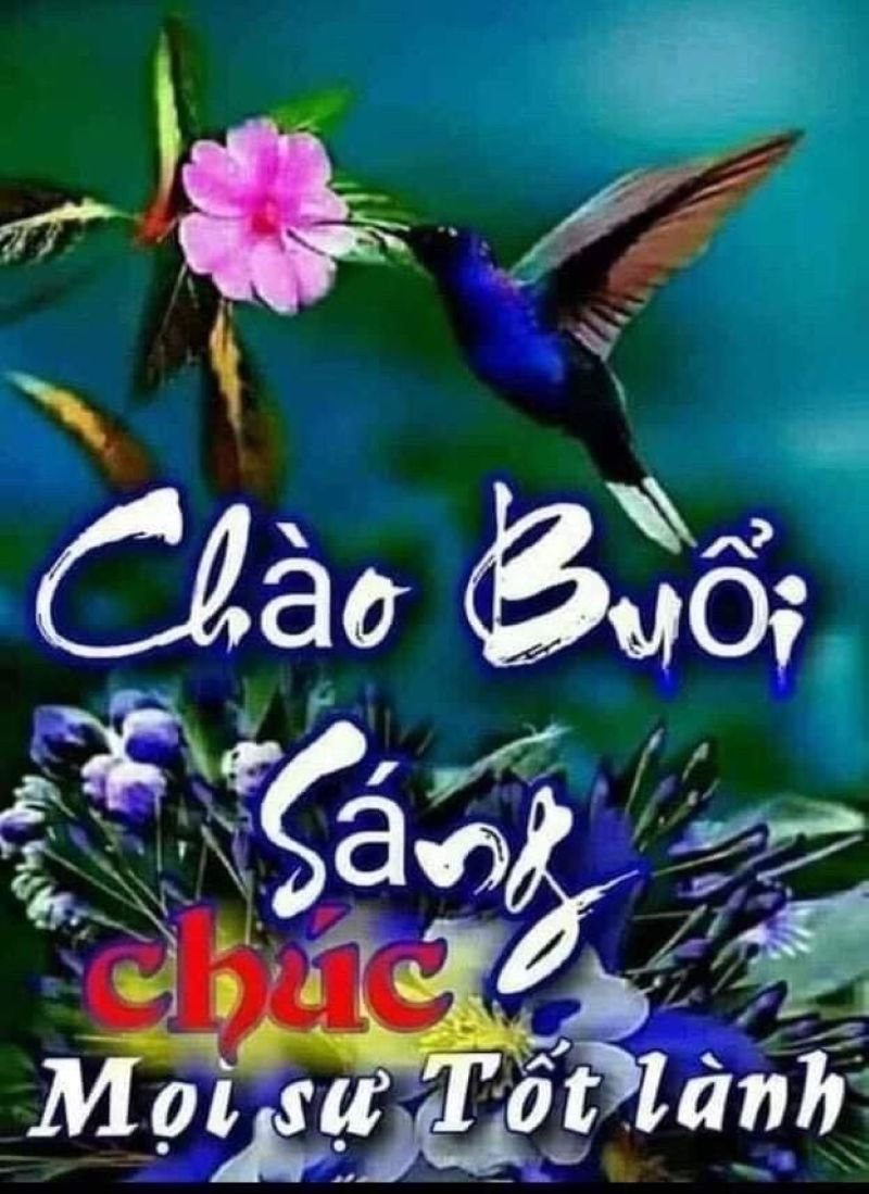meme chào buổi sáng hài hước bắt trend