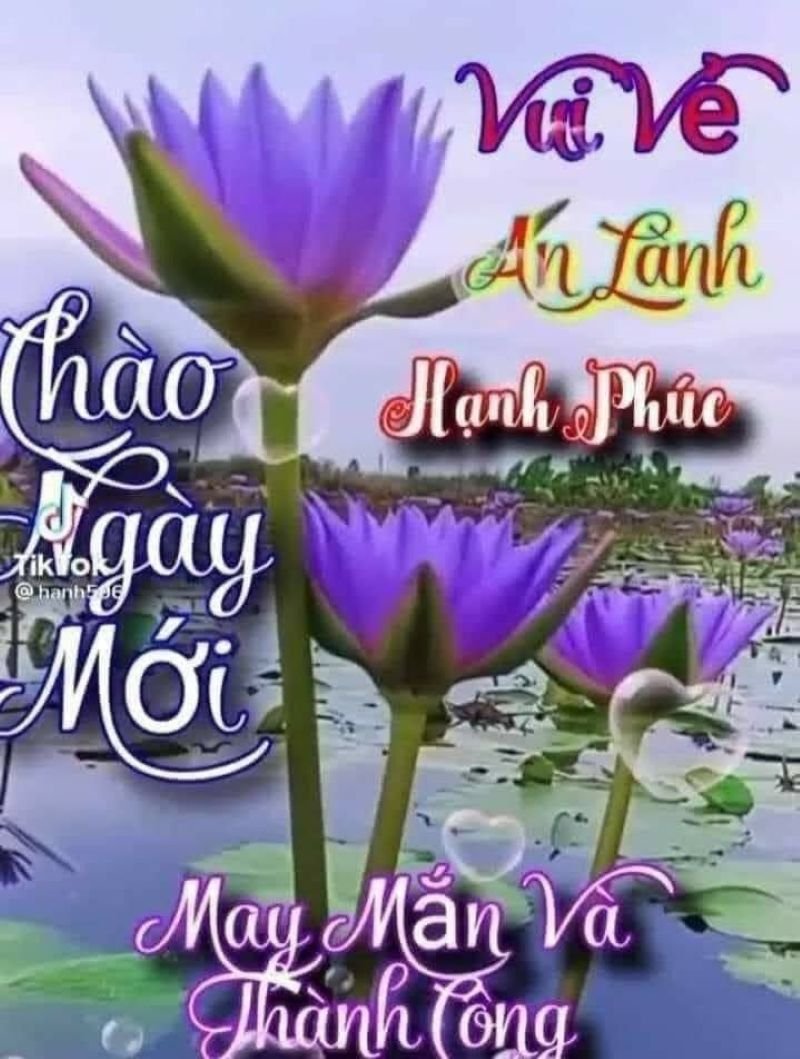 meme chào buổi sáng hài hước cho người yêu