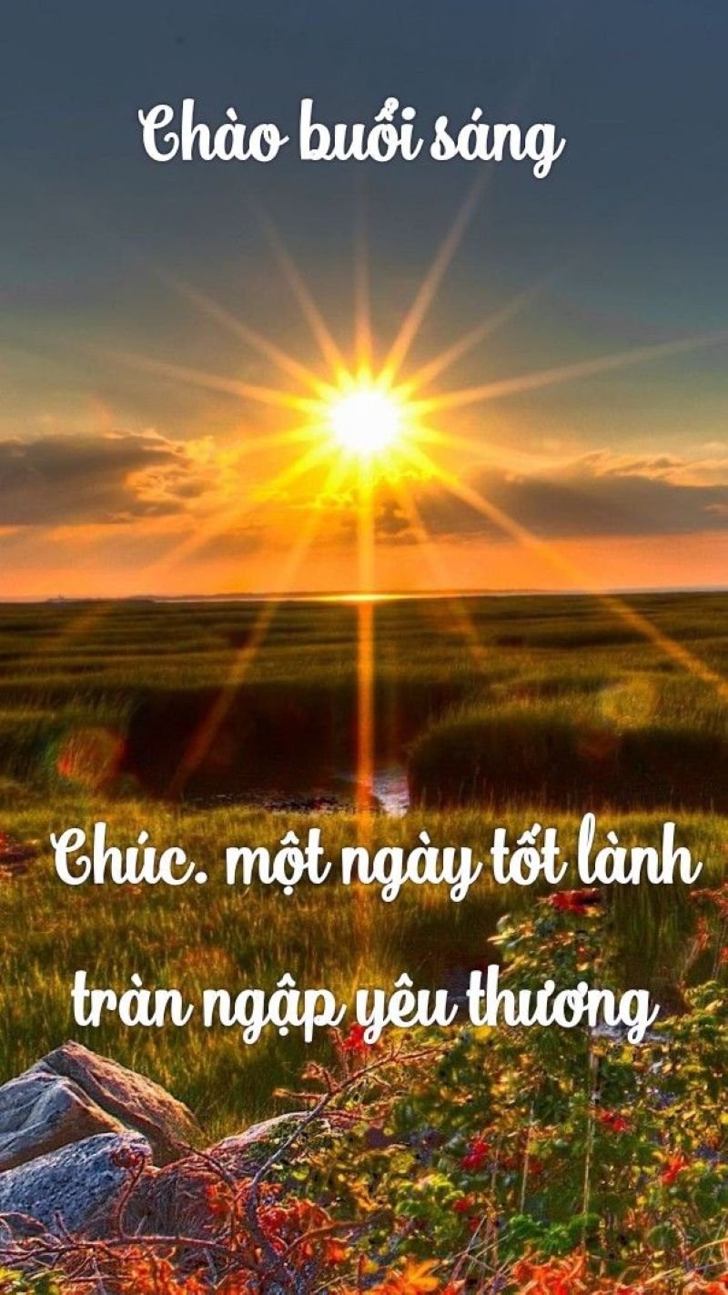 meme chào buổi sáng hài hước mỗi ngày