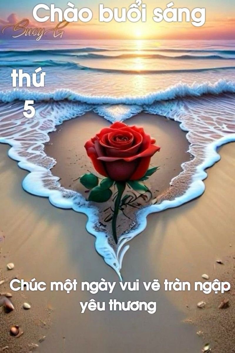 meme chào buổi sáng khiến ngày mới vui