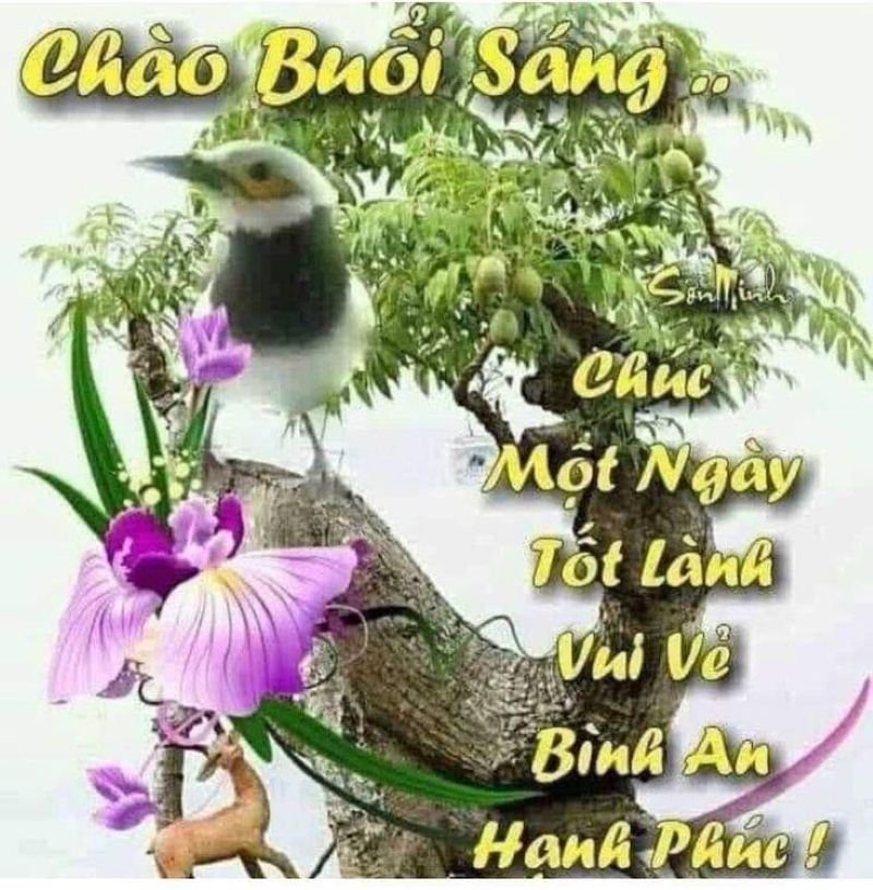 meme chào buổi sáng tạo động lực ngày mới