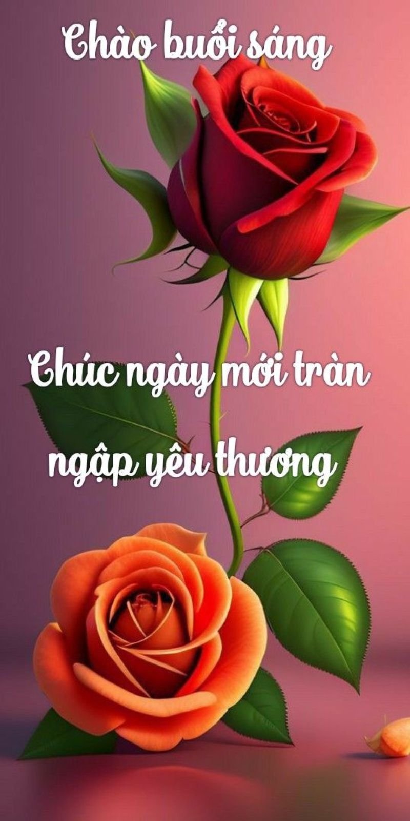 meme chào buổi sáng vui vẻ mỗi ngày