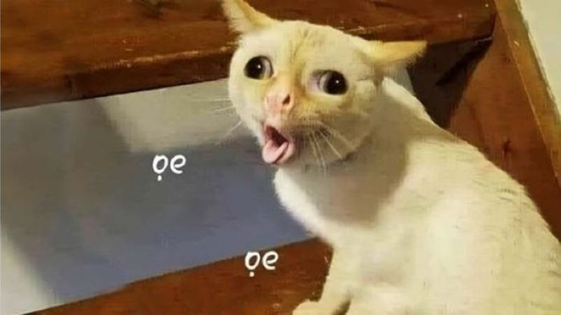 meme chế cười ra nước mắt meme chế cười ra nước mắt