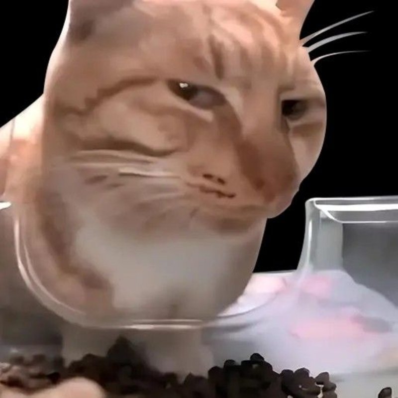 meme chế hài hước đầy sáng tạo meme chế hài hước đầy sáng tạo