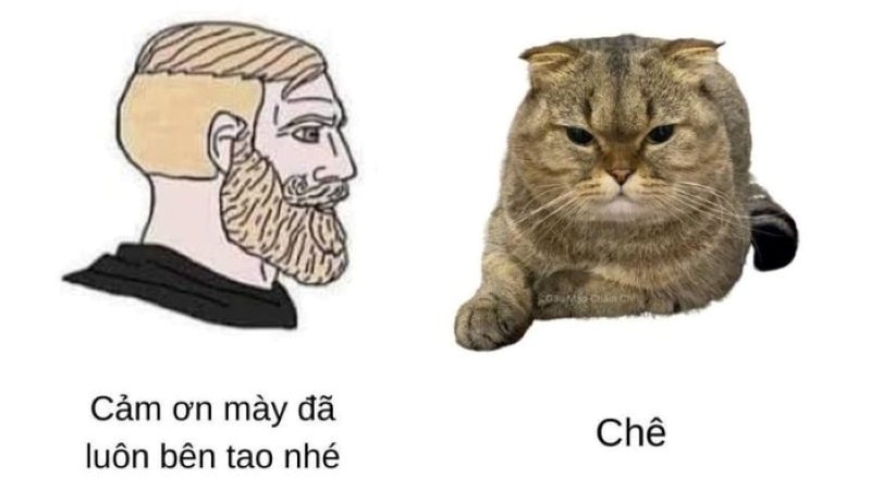 meme chế vui nhộn dành cho giới trẻ meme chế vui nhộn dành cho giới trẻ