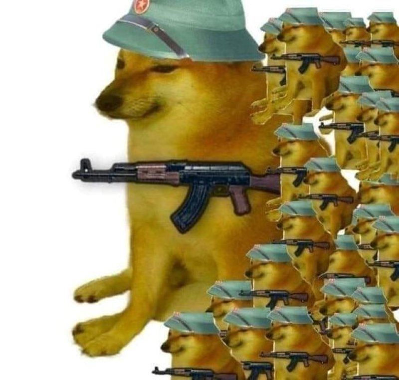 meme cheems biểu cảm gây nghiện meme cheems biểu cảm gây nghiện
