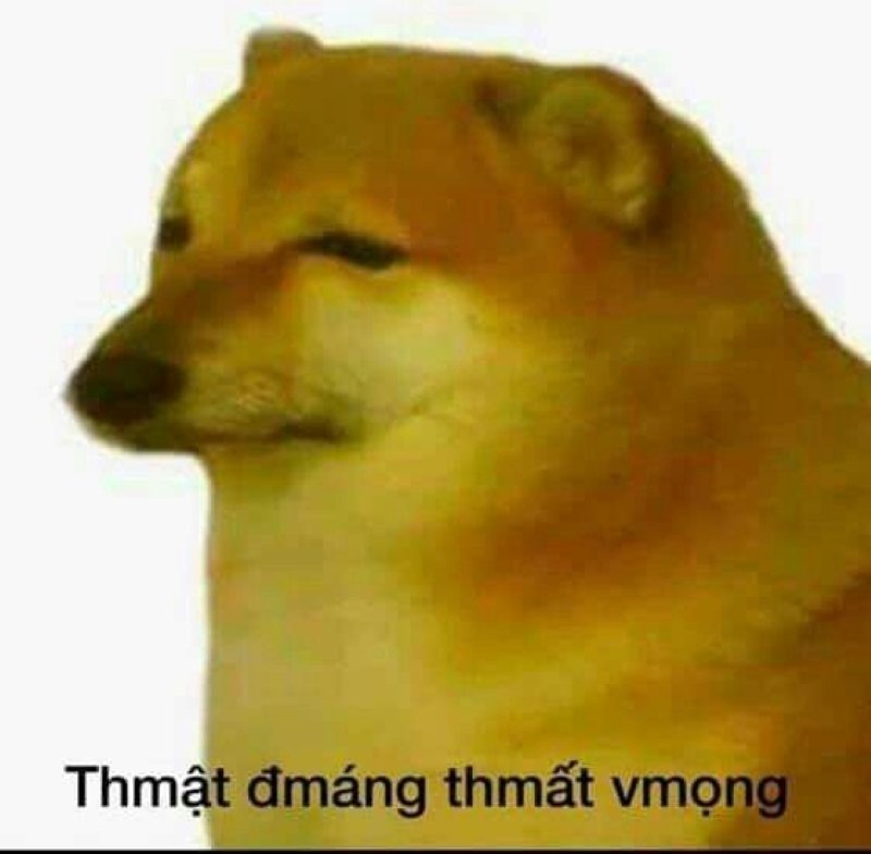 meme cheems biểu cảm mặn mòi nhất meme cheems biểu cảm mặn mòi nhất