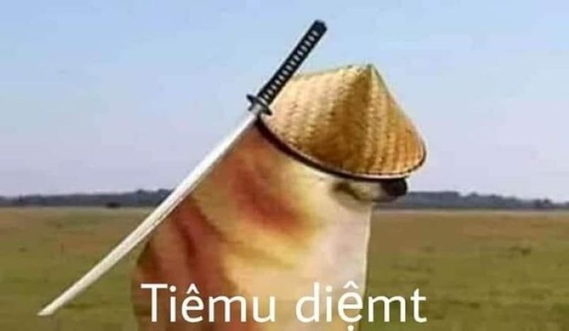 meme cheems cực lầy và hài hước meme cheems cực lầy và hài hước