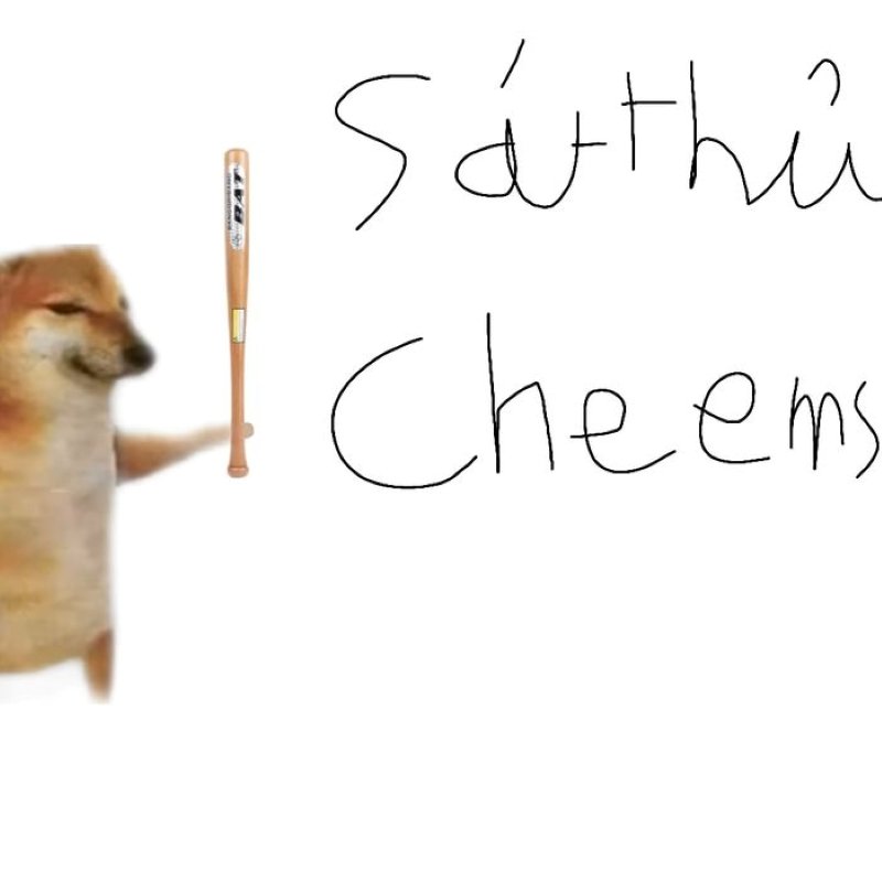 meme cheems hài bựa cực kỳ nổi bật meme cheems hài bựa cực kỳ nổi bật