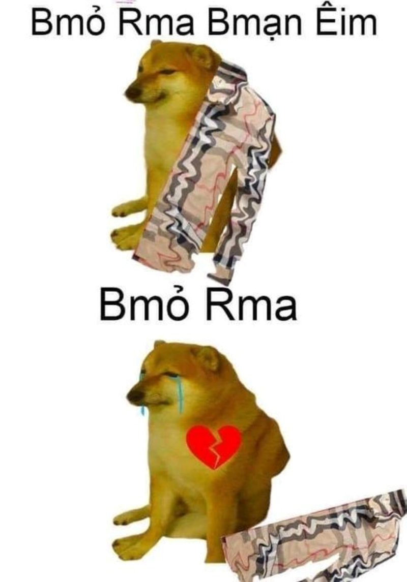 meme cheems hài bựa đang thịnh hành meme cheems hài bựa đang thịnh hành