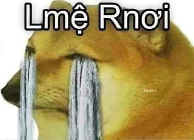 meme cheems hài bựa xem là cười meme cheems hài bựa xem là cười