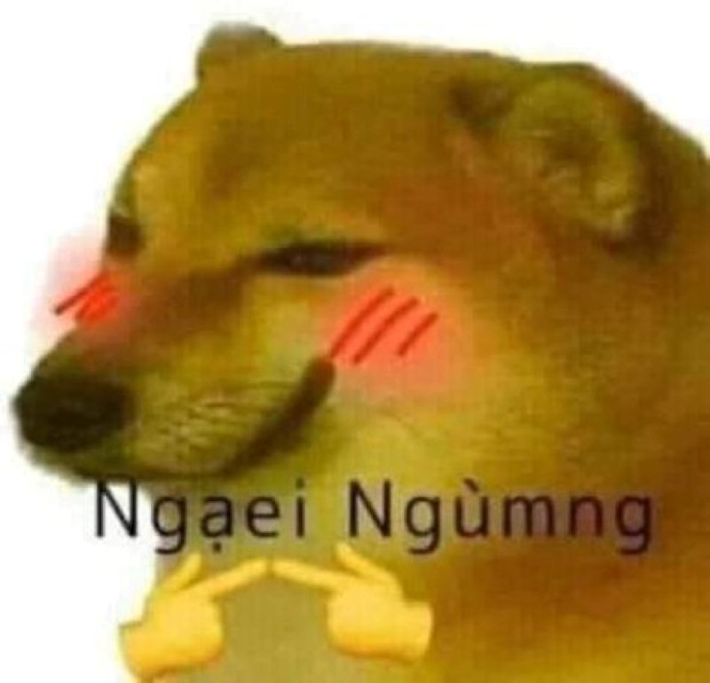 meme cheems hài hước được yêu thích meme cheems hài hước được yêu thích