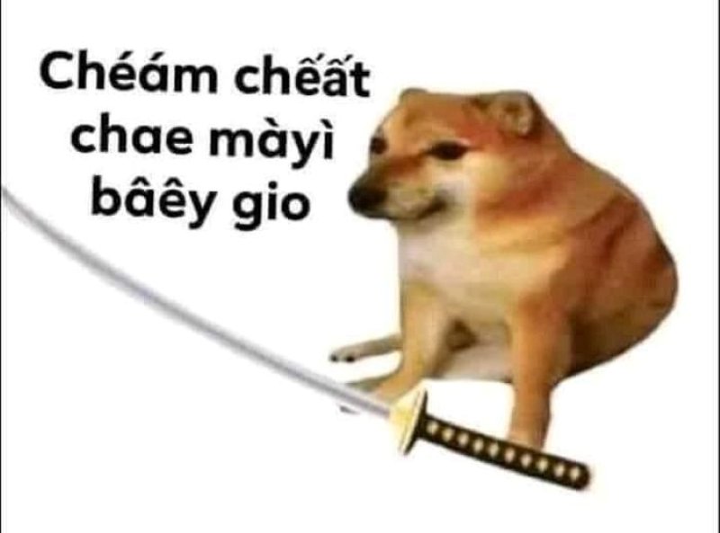 meme cheems hài hước gây bão mạng meme cheems hài hước gây bão mạng