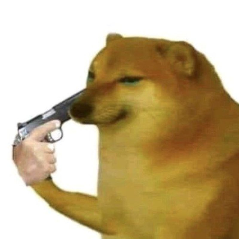 meme cheems hài xỉu với biểu cảm meme cheems hài xỉu với biểu cảm